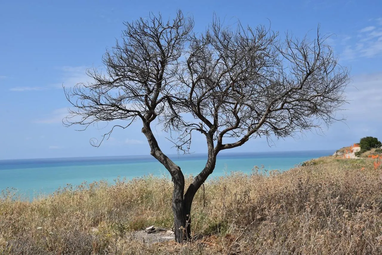 La valle degli dei Eraclea Minoa